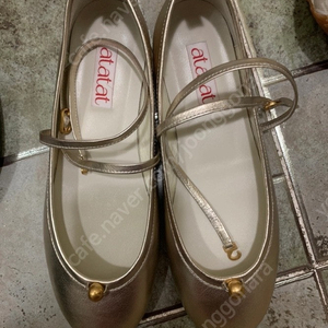 살롱드쥬 플랫 dot X strap flat SI