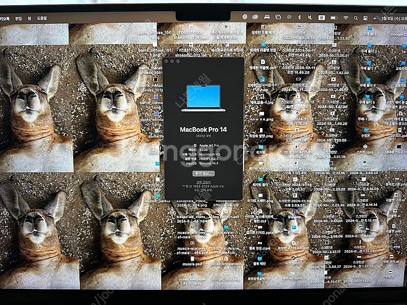 21년형 14인치 맥북m1프로 M1PRO--1