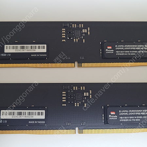 ESSENCORE KLEVV DDR5-5600 CL46 파인인포 (16GB) 2개 팝니다 (하이닉스a다이)