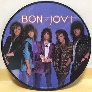 LP ; bon jovi 본 조비 엘피 음반 정규 음반, 라이브, 픽쳐디스크 picture 락 명반 rock