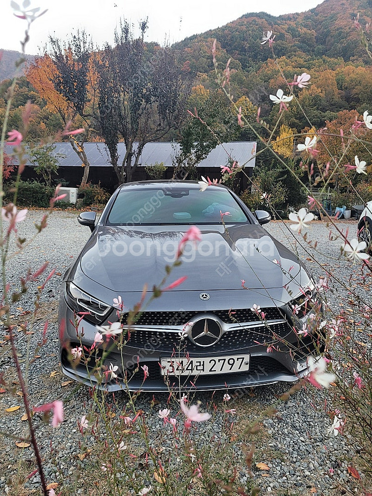 Cls300d--1