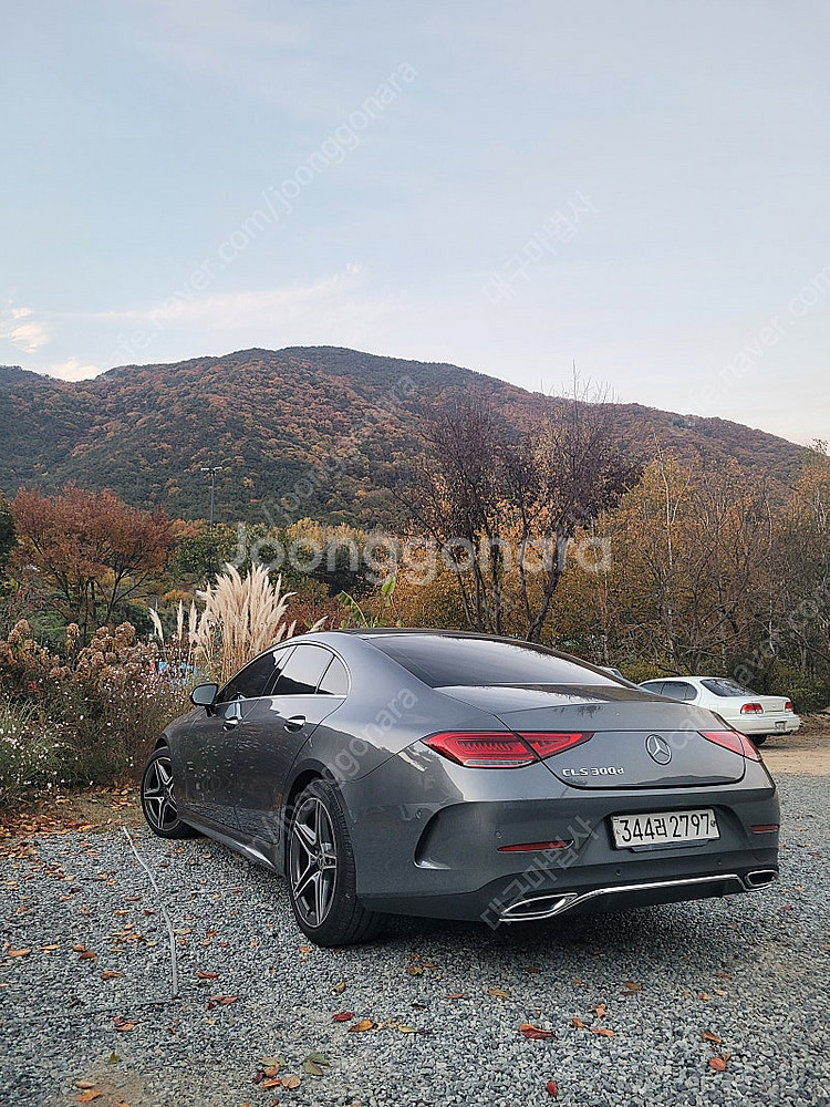 Cls300d--2