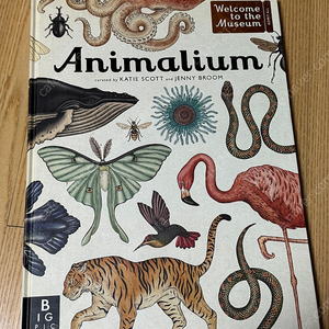 Animalium