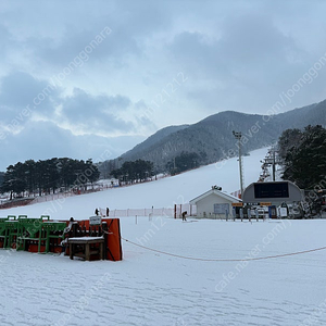 지산 소인시즌권 양도 합니다