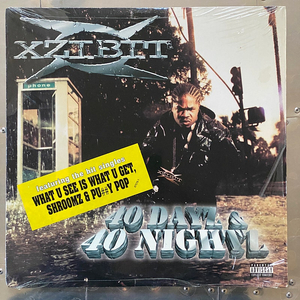 [해외힙합] Xzibit 40 Dayz lp