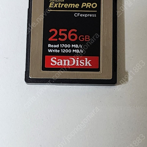 SanDisk CFexpress 카드 256GB