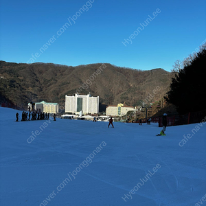 비발디파크 리미티드주차장 양도합니다