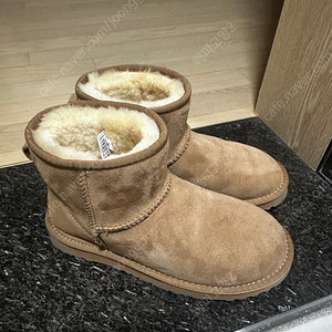 ugg 어그