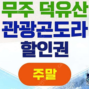 무주관광곤도라 구입 1월11일 토요일