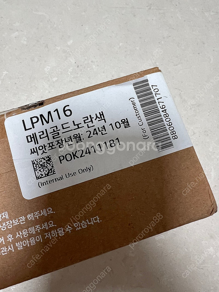 틔운미니 씨앗키트 메리골드 노란색 1.0--1
