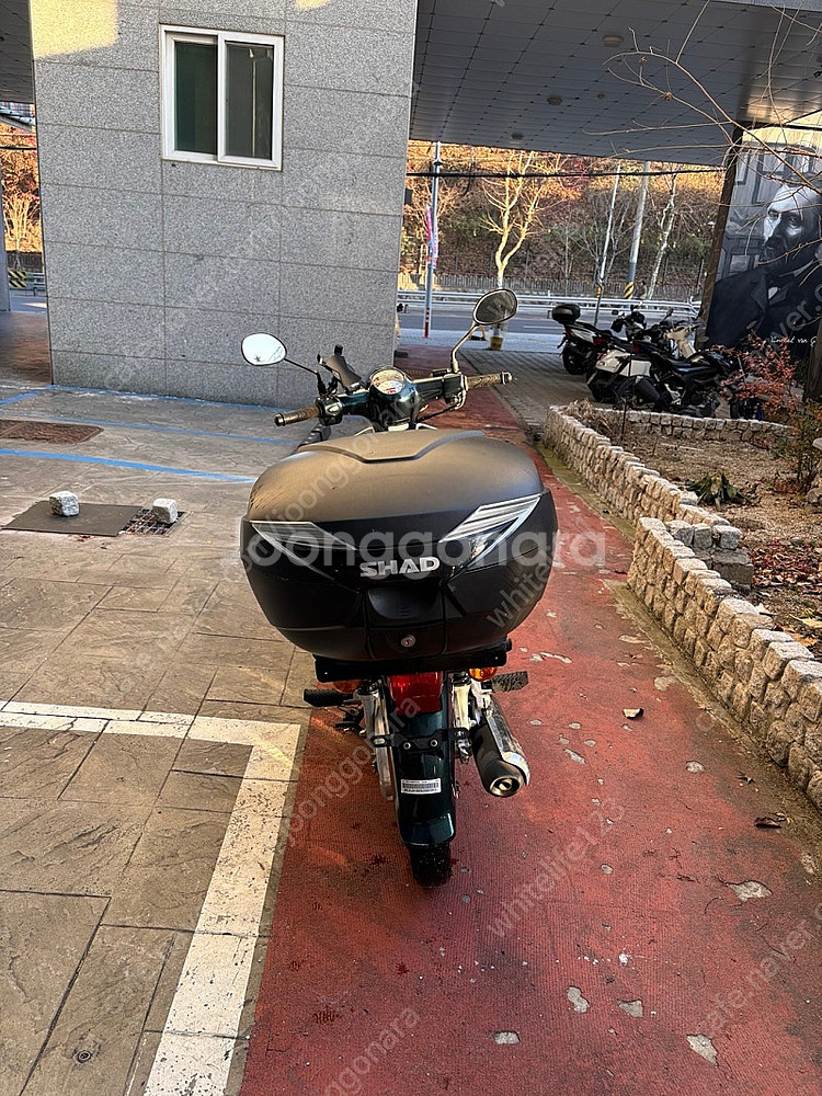 [서울] 혼다 슈퍼커브 110 18년식 싸게 팝니다--5