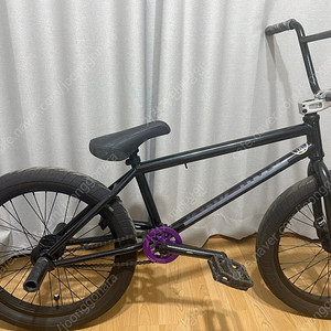 킨크 bmx 윕 프리코스터