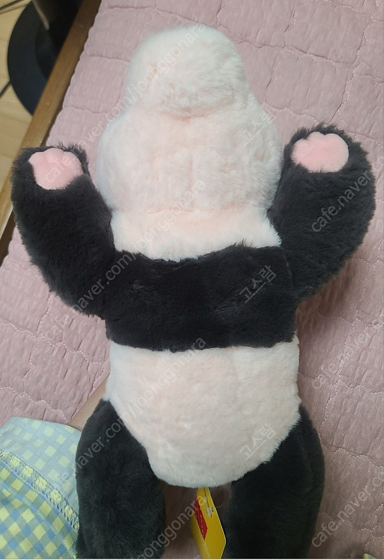 에버랜드 푸바오 50일 인형--1