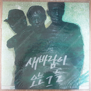 새 바람이 오는 그늘 1집 LP 미개봉