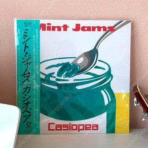 카시오페아 Casiopea mint jams lp 블랙반 미개봉