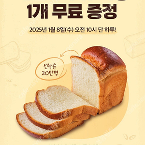 뚜레쥬르 데일리 우유 식빵 무료 증정 쿠폰 1500원