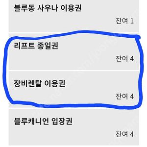 휘닉스파크 리프트권 장비렌탈 1장 팝니다