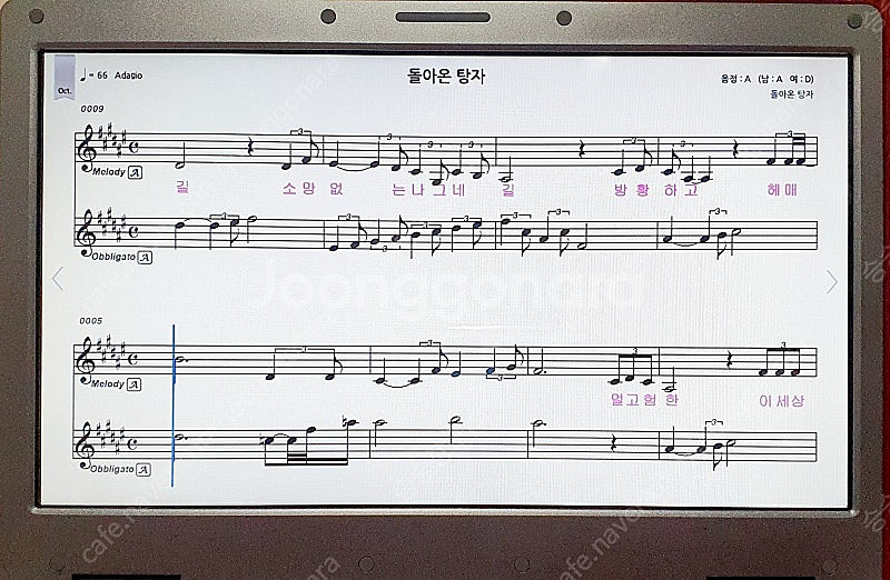 특AAA급 ELF 900--8