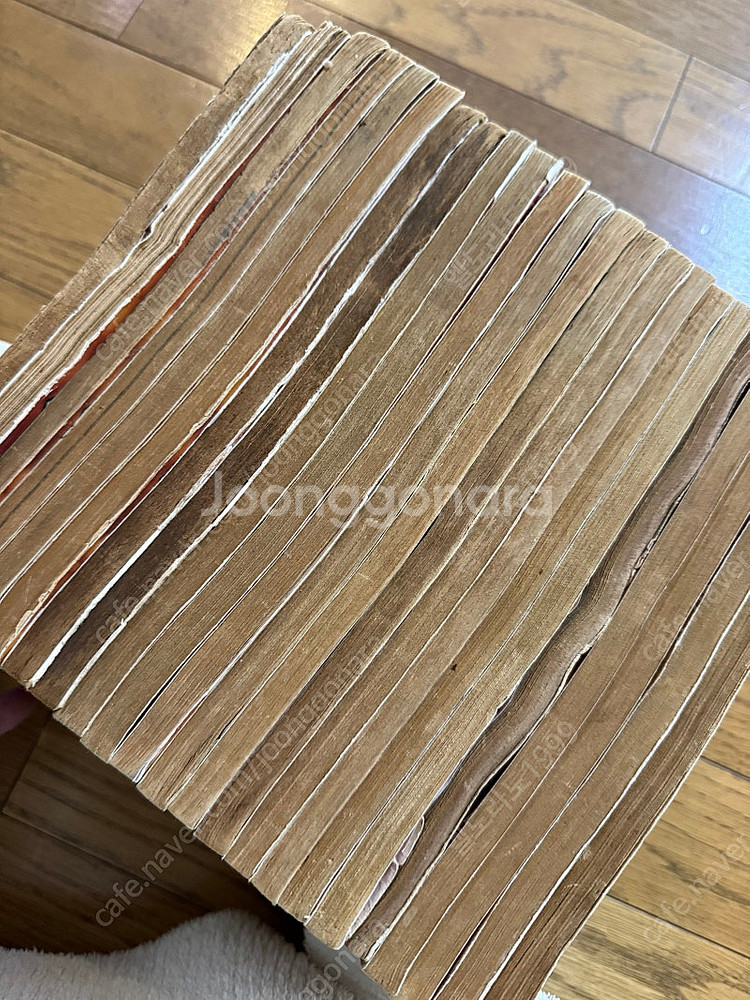 [고전희귀]사자여 새벽을 노래하라 이현세--3
