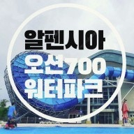 알펜시아 오션700 입장권 1매 판매합니다.