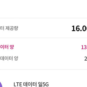 LG 데이터 1기가