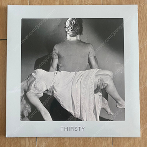 검정치마 thirsty LP 미개봉