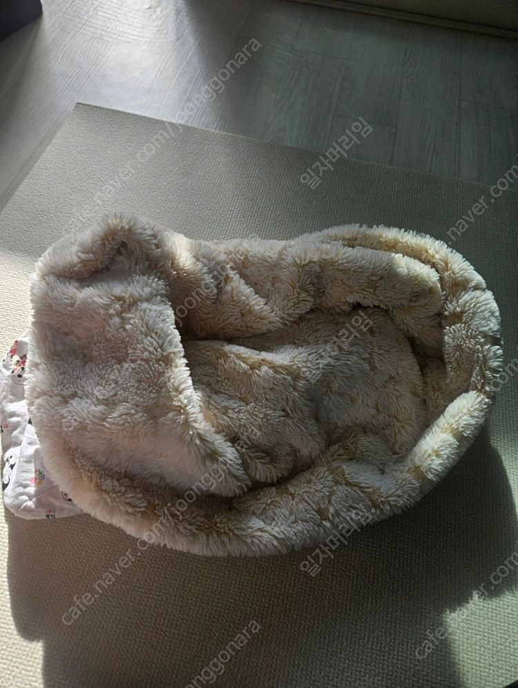 겟백 미키 보듬이--1