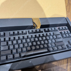 리얼포스 R2 30균등 TKL