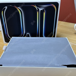 Apple 정품 2024 아이패드 프로 13 M4칩 스탠다드 글래스, 스페이스블랙, 256GB, WiFi