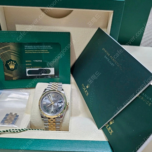 롤렉스 데이트저스트 윔블던 롤레조 36mm 미착용 신품