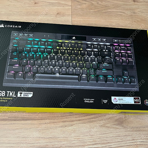 커세어 k70 rgb tkl 챔피언