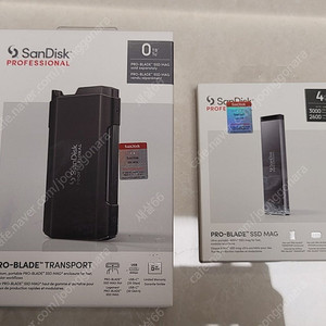 샌디스크 외장 SSD Professional4TB