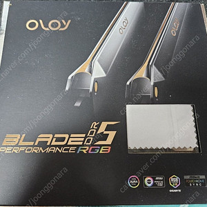 oloy 6000 cl32 16gb x 2