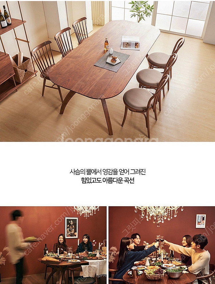 알렉스 뮐러 6인 월넛테이블 식탁 (수도권 배송 포함)--5