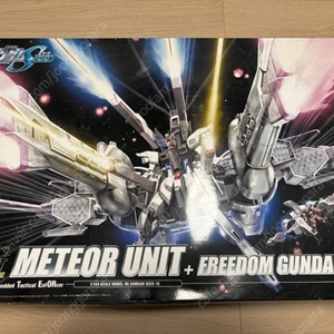 [HG] METEO UNIT + FREEDOM GUNDAM