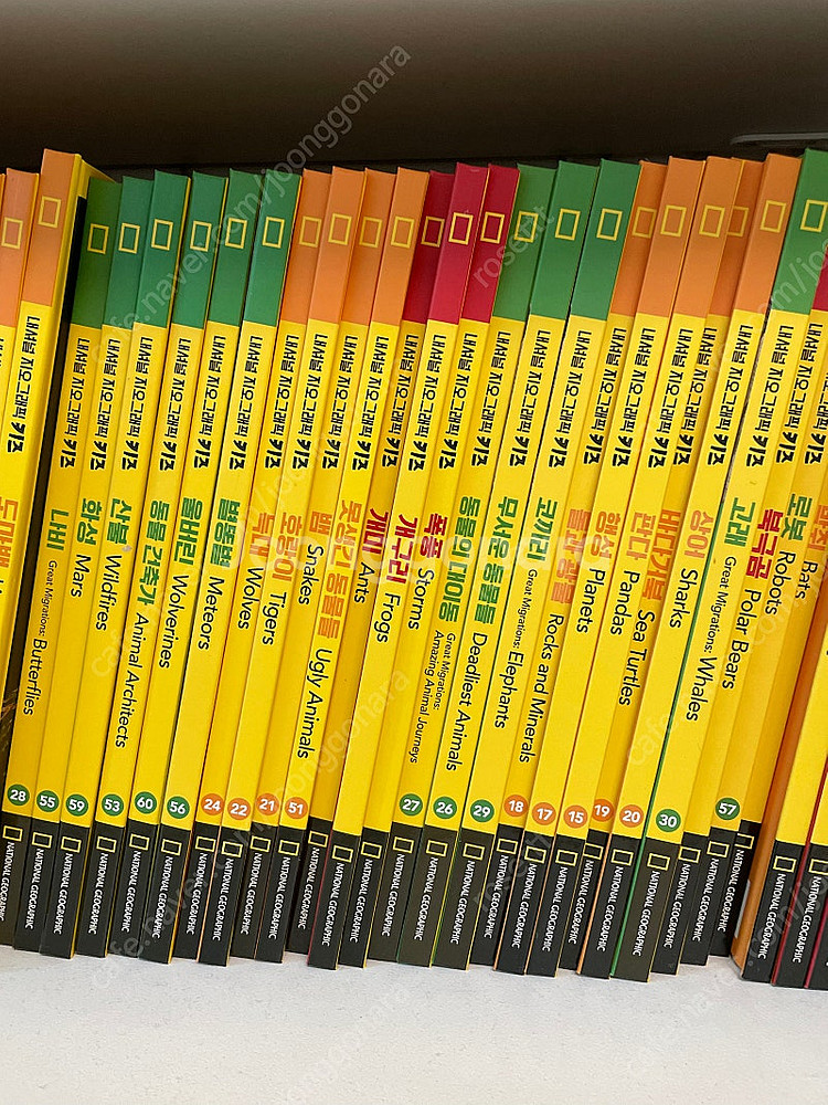 네셔널지오그래픽 키즈 한영 60권 cd 4장--1