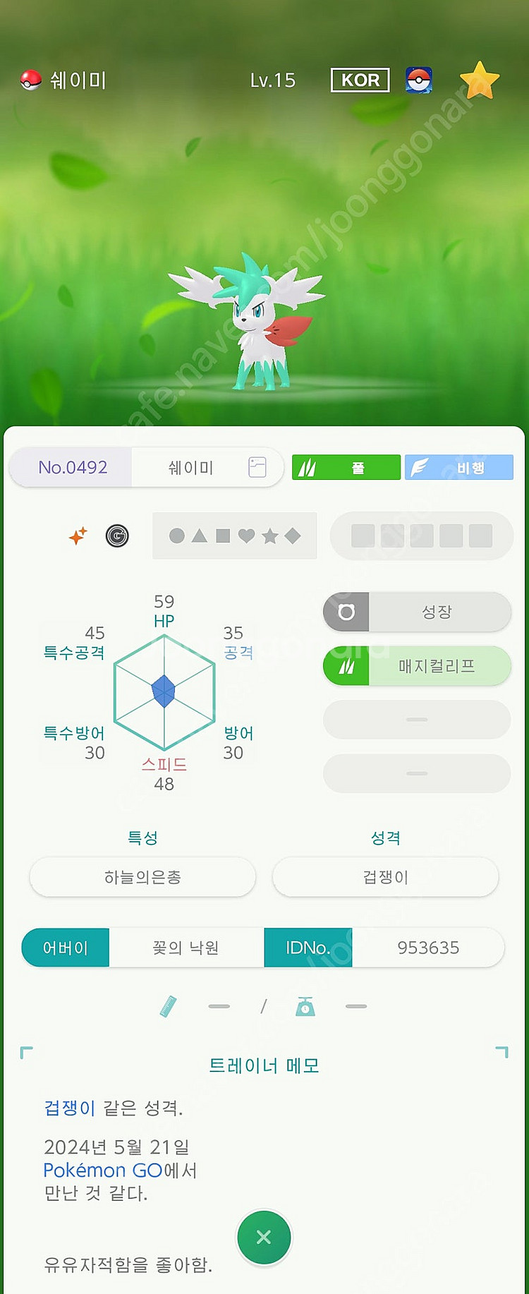 이로치 아르세우스, 전설, 맥다맥 대행 인증 배포 판매--5