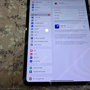 아이패드 프로 11인치 M4 256GB 애플케어+ 포함