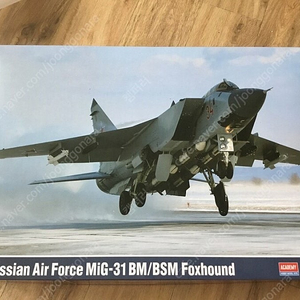 아카데미 1/48 mig-31 팝니다