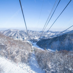 1월 18일 용평리조트 그린피아 빌라콘도 타워콘도 드래곤밸리 가실분