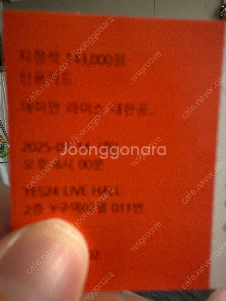 데미안라이스 내한(14일)티켓 2매--0