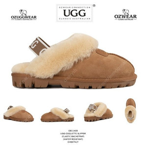 호주 Ugg 코게트 lx(250-60) 새상품