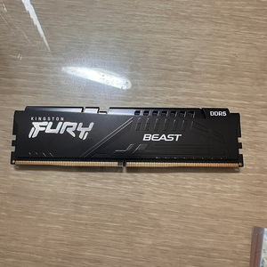 킹스톤 퓨리 비스트 DDR5 16GB 5200MT/S 한개팔아요