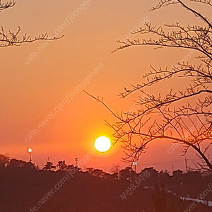 시즌권양도&교환권 구매합니다