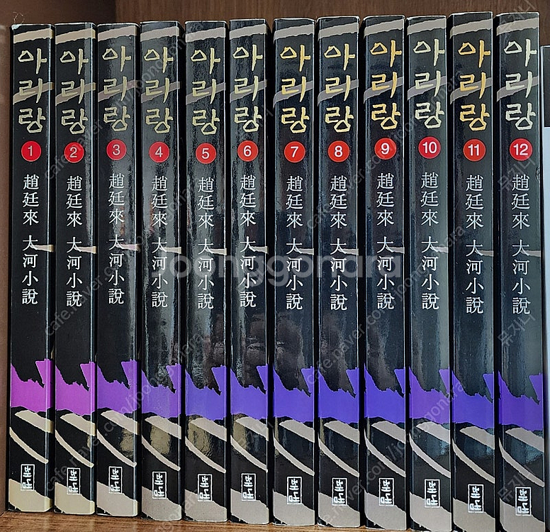 조정래 대하소설 '아리랑', '한강' 판매--0