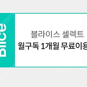 블라이스 셀렉트 1개월 이용권 1000원