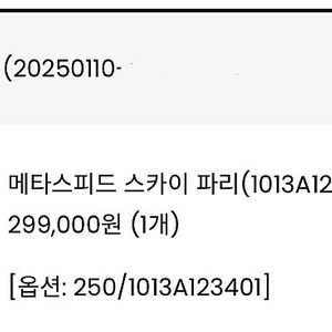 메타스피드 스카이 파리 에키덴 (250)