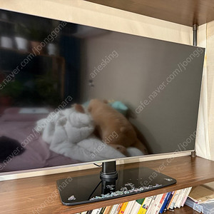 삼성 TV / QLED 49인치