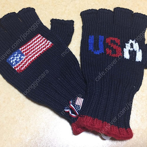 폴로 랄프 로렌 손가락 장갑 울장갑 2014 올림픽 미국 대표팀 모델 polo by ralph lauren USA glove