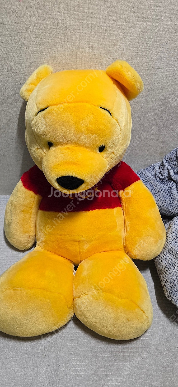 지나월드 곰돌이푸 인형--0